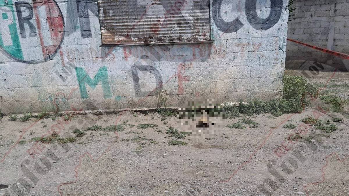 Alerta en Tecamachalco: hallan cráneo humano en San Antonio junto al canal de Valsequillo