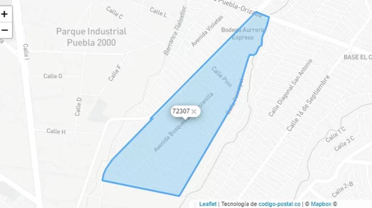 Misterio en Bosques de Manzanilla: hallan cadáver en plena calle