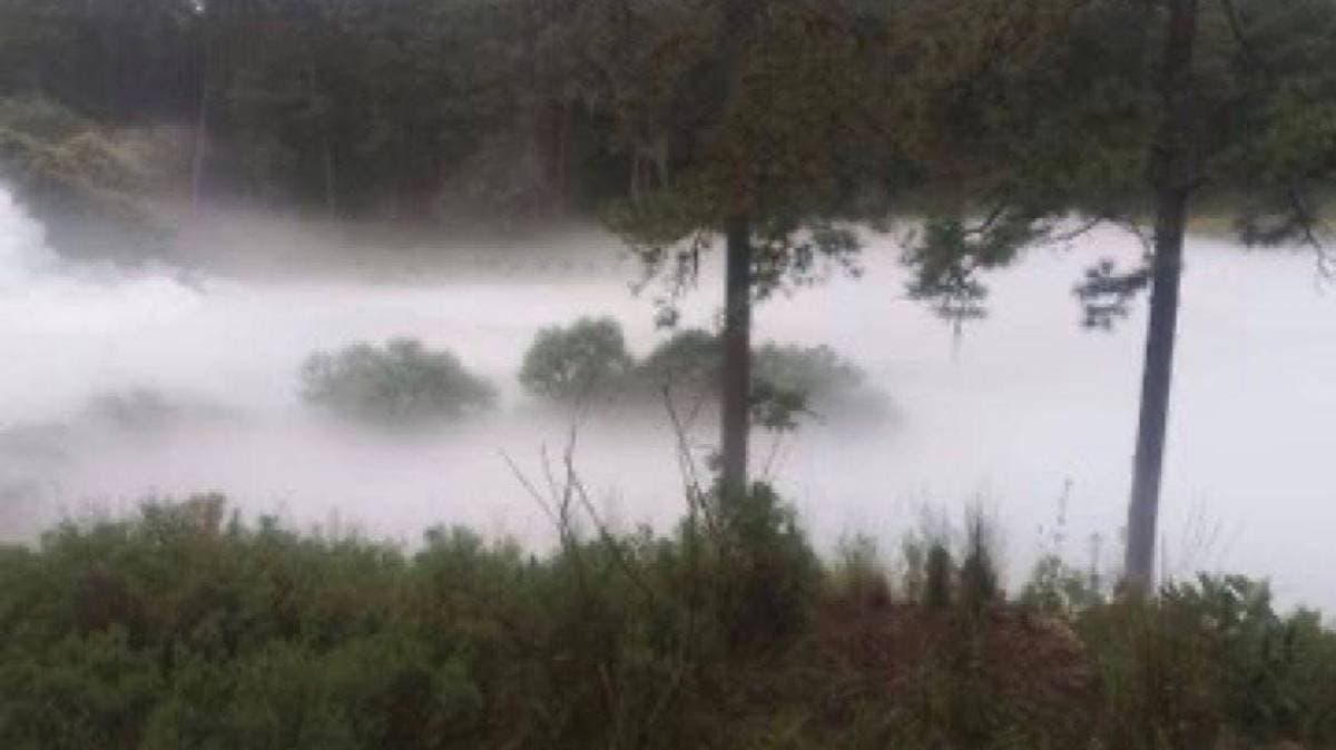 Fuga de gas en Nanacamilpa: Pemex y fuerzas de seguridad controlan emergencia por toma clandestina