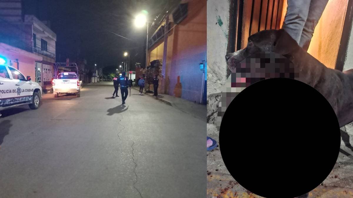 Indignación en Puebla: policía municipal dispara contra un perrito y amedrenta a mujer por intentar grabar