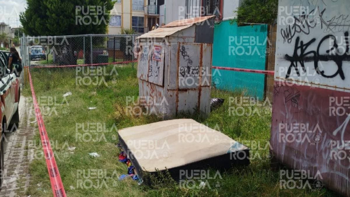 Puebla: hallan a joven mujer sin vida en Misiones de San Francisco; investigan posible feminicidio