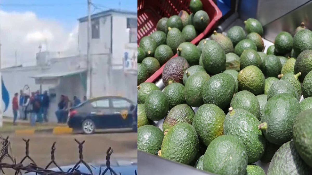 Poblanos casi linchan a joven sorprendido robando aguacates en Cholula