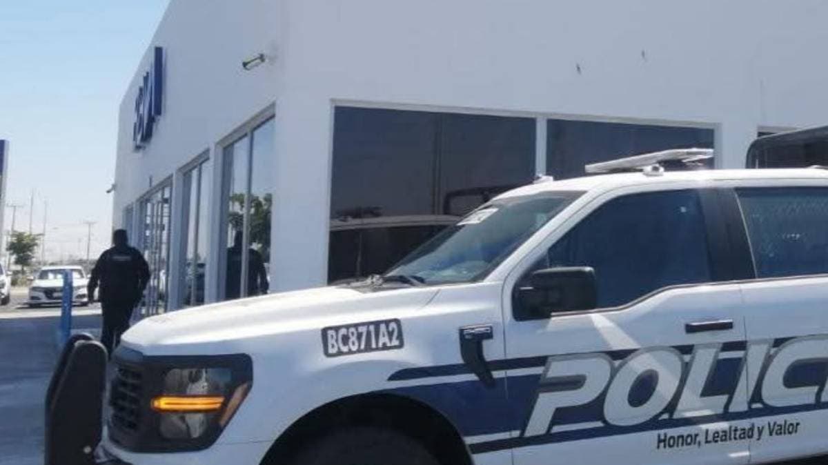 Adulto mayor cachetea a una abogada en Mexicali tras discusión por cheque; fue detenido