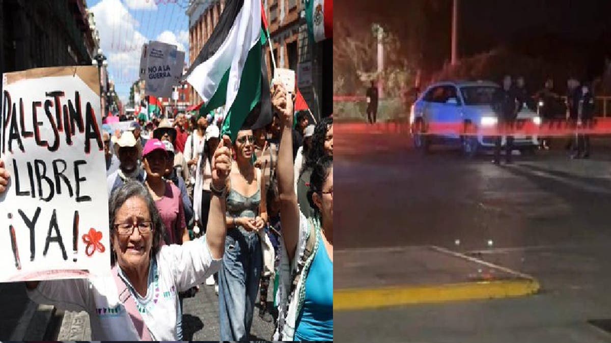 La semana que en Puebla fue asesinada una bebé de 1 mes y una niña de 7 años fue baleada, poblanos marcharon por la niñez en Palestina