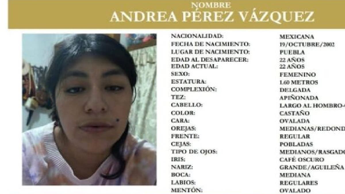 Desesperada búsqueda: Andrea Pérez desapareció en Unidad San Ángel y su padre pide ayuda para hallarla