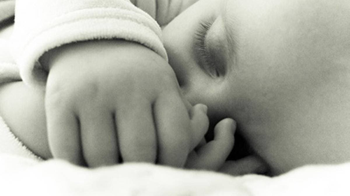 Bebé abandonado en Huejotzingo: vecinos lo salvan de ser mordido por perros