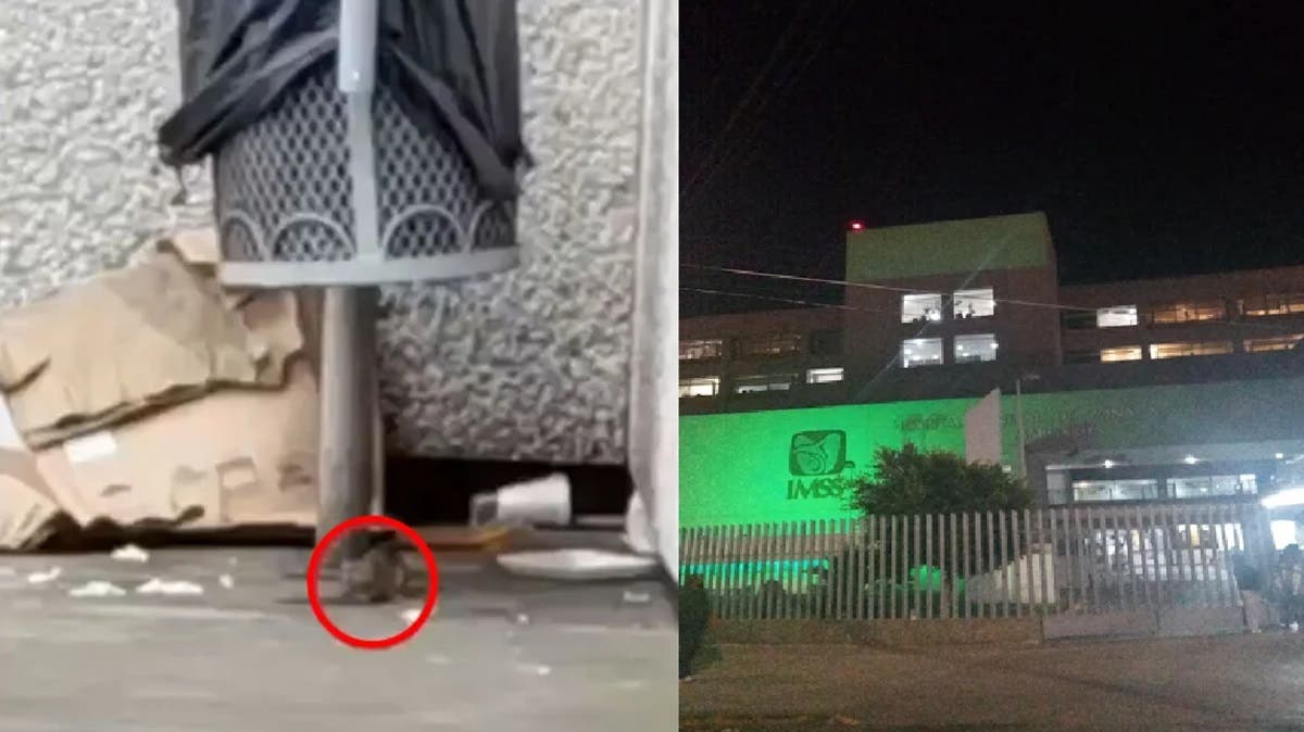 VIDEO | Ratas en IMSS La Margarita: denuncian insalubridad y abandono en hospital de Puebla