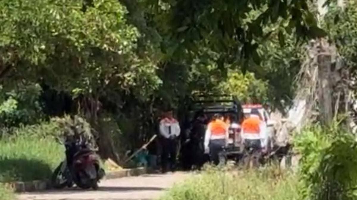 Izúcar: “El Munrra” y dos perros intoxicados tras comer salchichas presuntamente envenenadas en Santiago Mihuacán