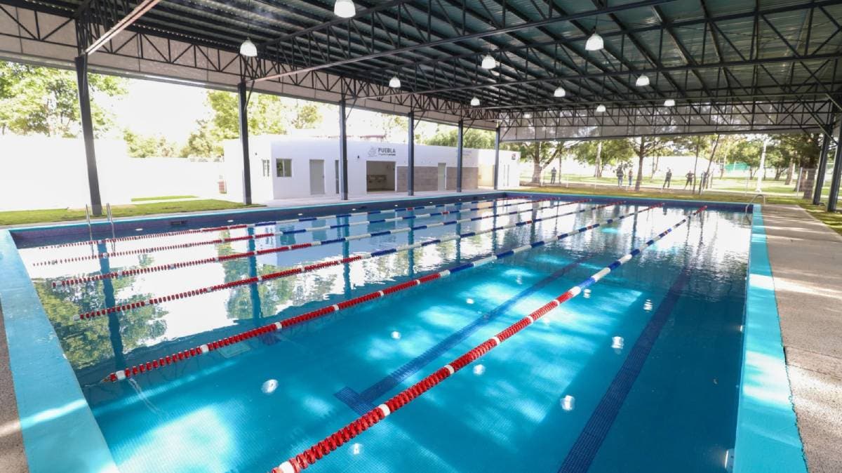 Niños nadadores de Puebla, sin entrenar por alberca en mal estado: pagan mantenimiento, pero el agua luce verde y hasta con ranas