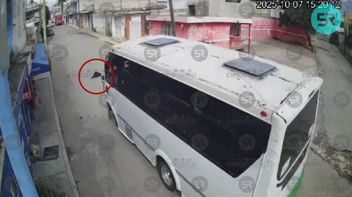 Vecinos exigen justicia tras atropello de perro por unidad de la ruta 68 en Puebla