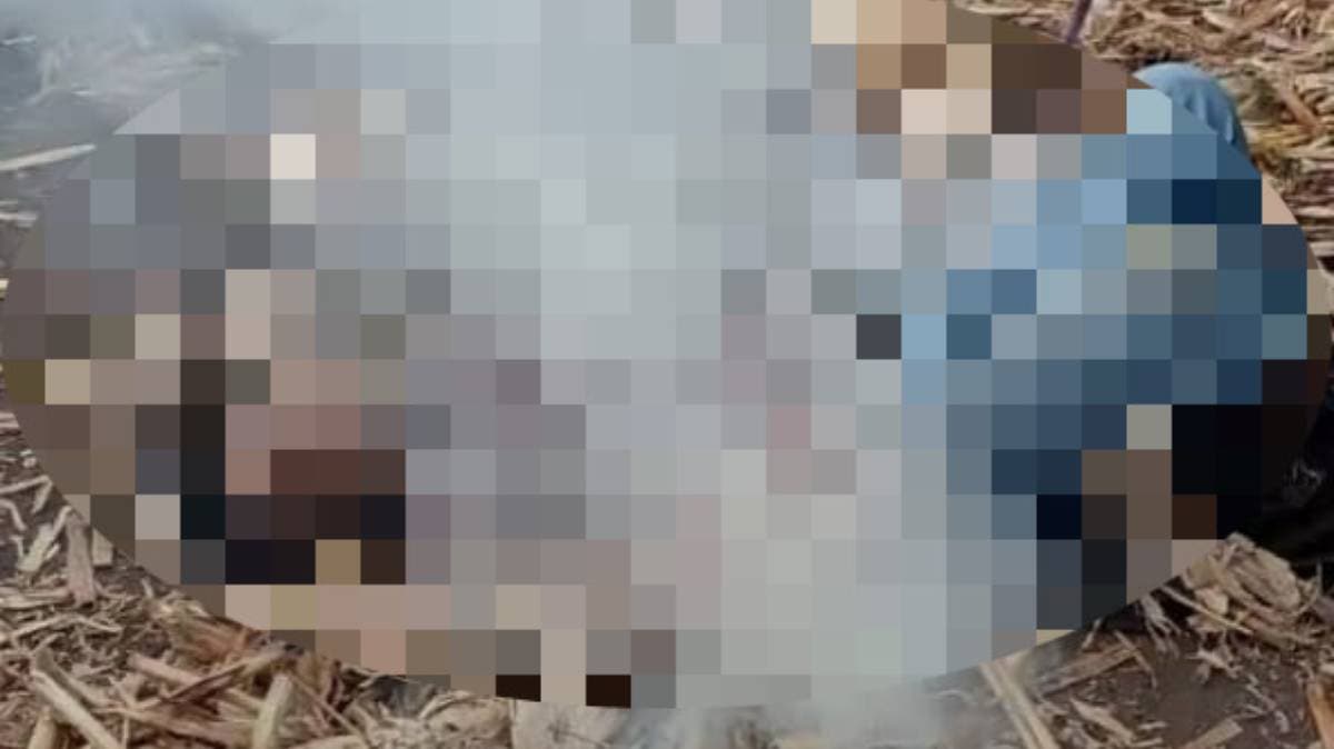 Horror en Santa María Coatepec: Vecinos linchan a presunto ladrón en San Salvador El Seco