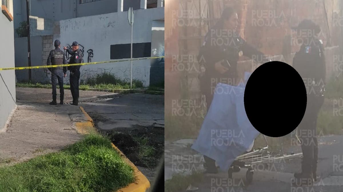 Última Hora Viernes de terror en Puebla: hallan a joven mujer muerta dentro de un carrito de supermercado en El Carmen