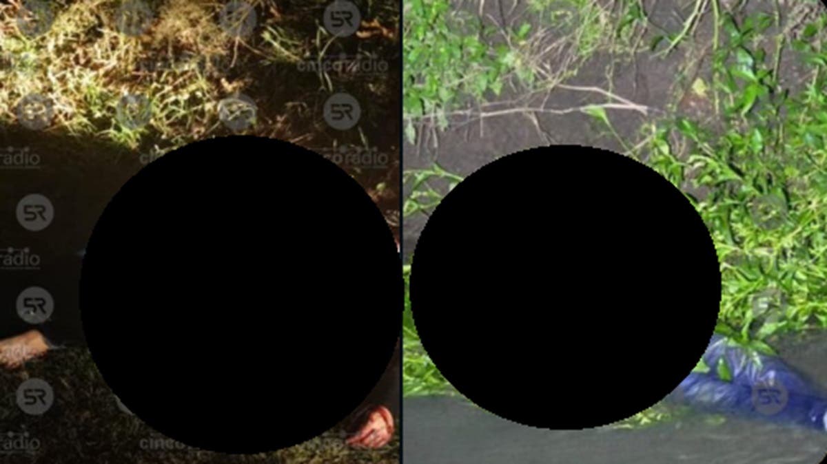 Martes de terror: hallan cuerpos de una mujer y un menor con huellas de violencia entre Tlaxcala e Hidalgo Fuertes FOTOS