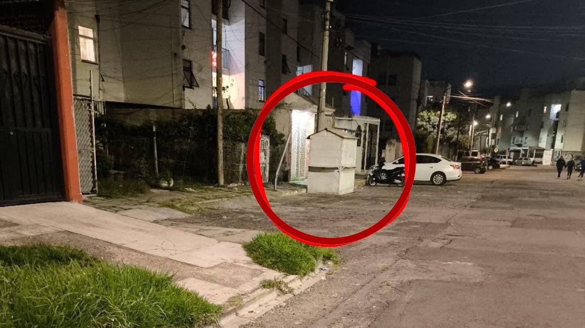 Denuncian caso de crueldad animal en Puebla: perrito vive aislado en caseta