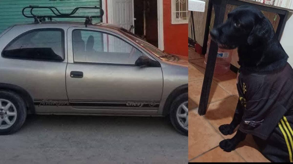 Roban auto en Tehuacán con lomito Camilo a bordo: dueño pide ayuda urgente