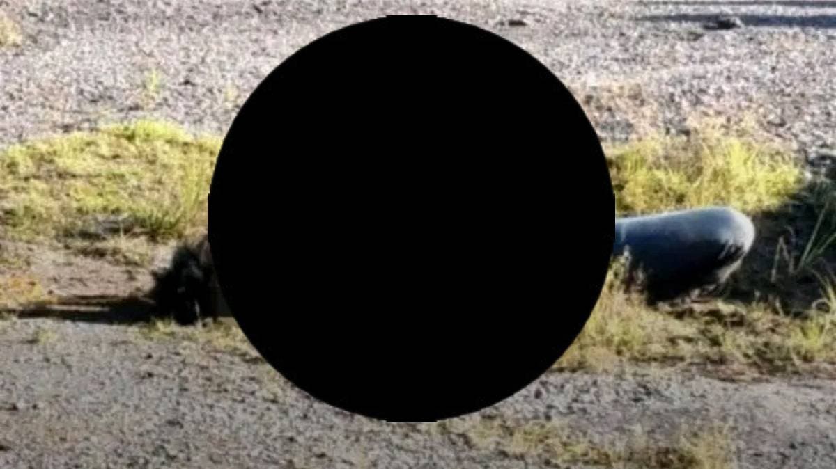 Violento hallazgo en Puebla-Orizaba: hombre con disparo en la cara y signos de tortura