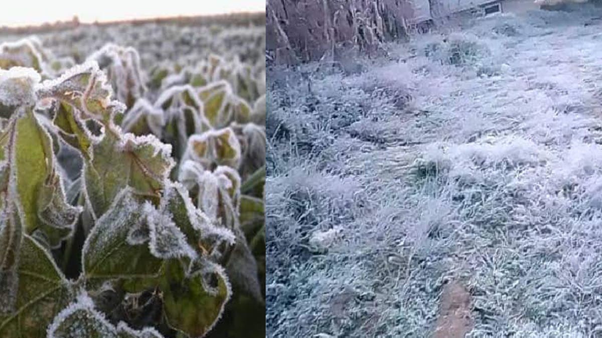 Bajará más el frío en Puebla esta semana? Esto dice el nuevo pronóstico del clima