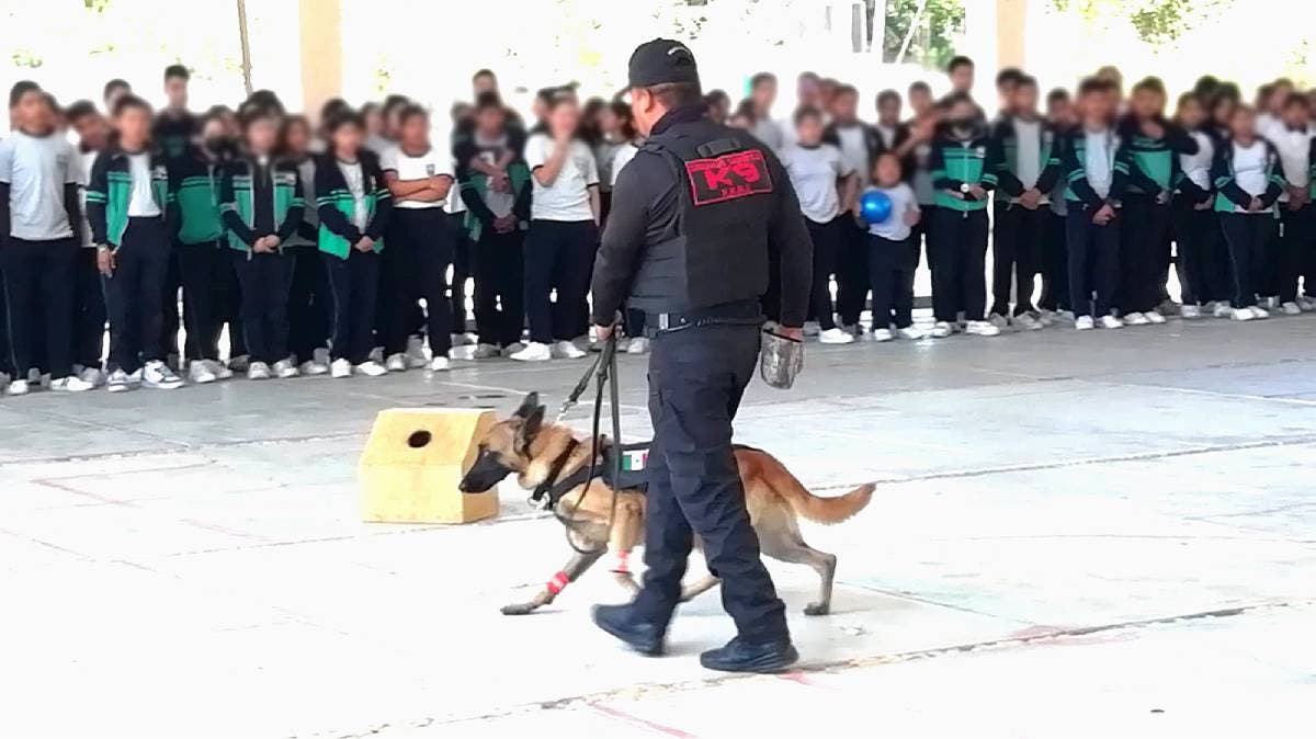 Robo en secundaria de Atoyatempan obliga a suspender clases y enciende alerta en la comunidad