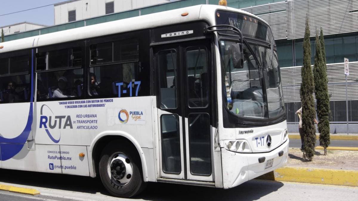 RUTA Línea 1: transporte más tóxico de América del Norte, según estudio canadiense