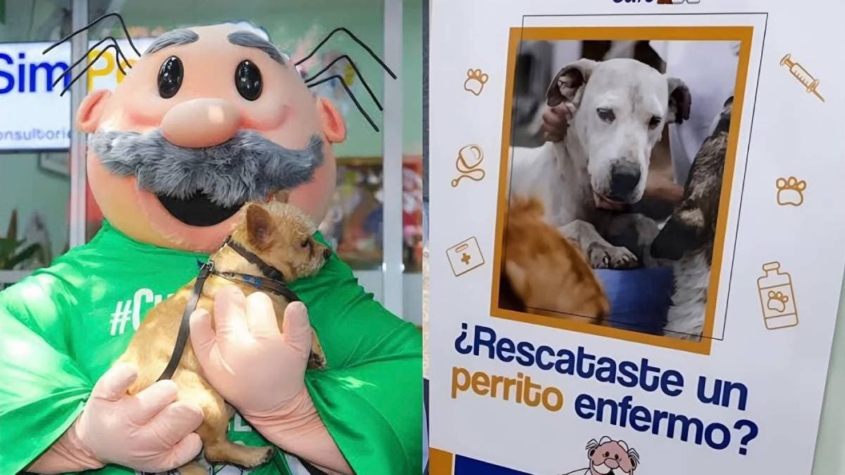Simi Pet Care abre su primera clínica en San Martín Texmelucan: atención veterinaria de bajo costo ya es una realidad