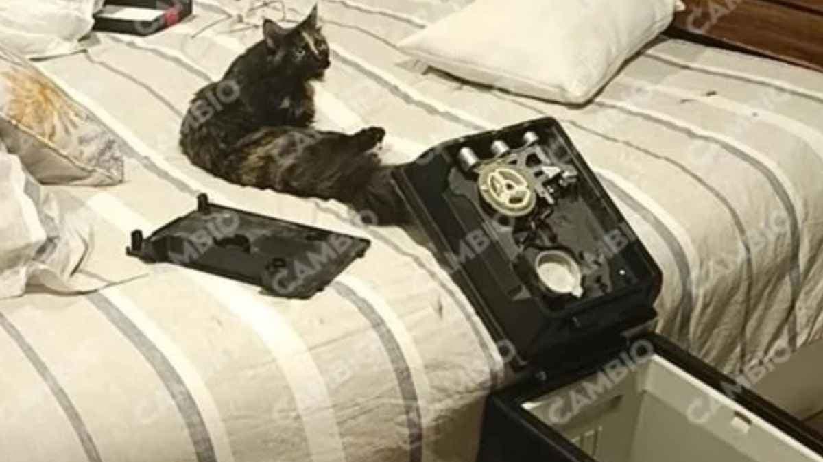 Asalto silencioso sacude a Cholula: roban cerca de 2 millones de pesos en casa de una abogada