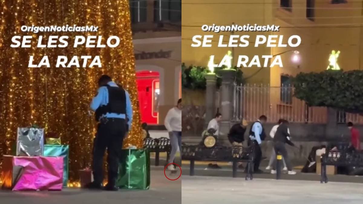 Polémica en Izúcar de Matamoros: video muestra presencia de roedores en parque durante festejos navideños