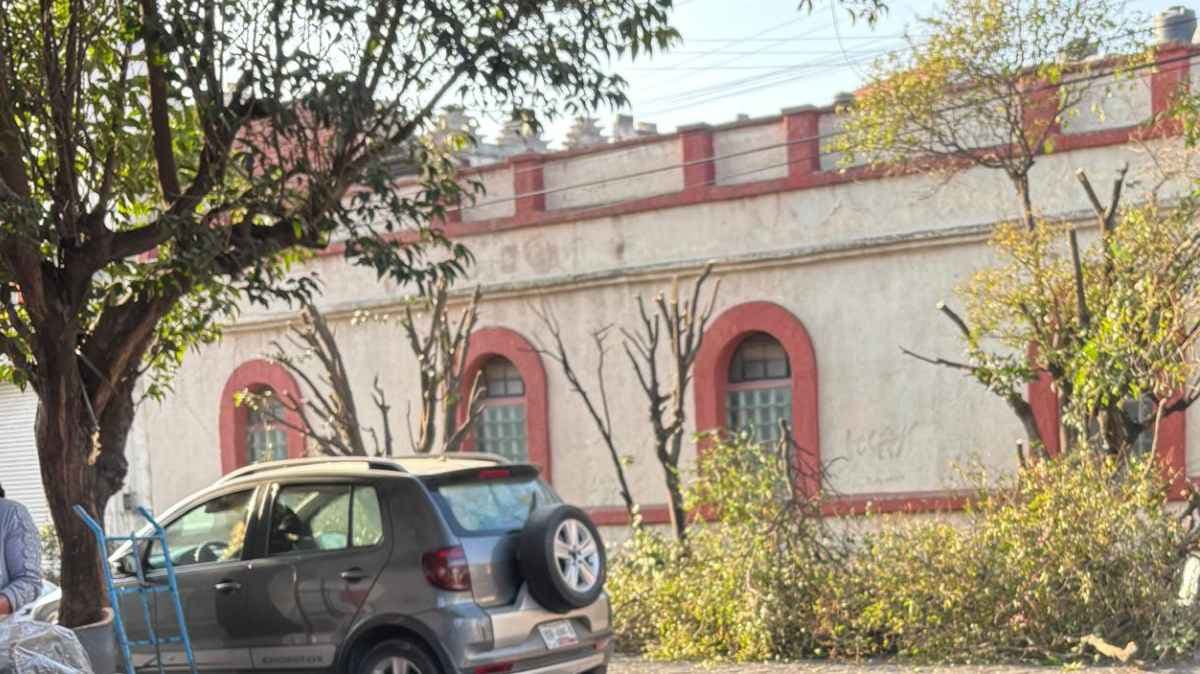 Alerta en Puebla: Vecinos denuncian tala clandestina de árboles en colonia San Francisco