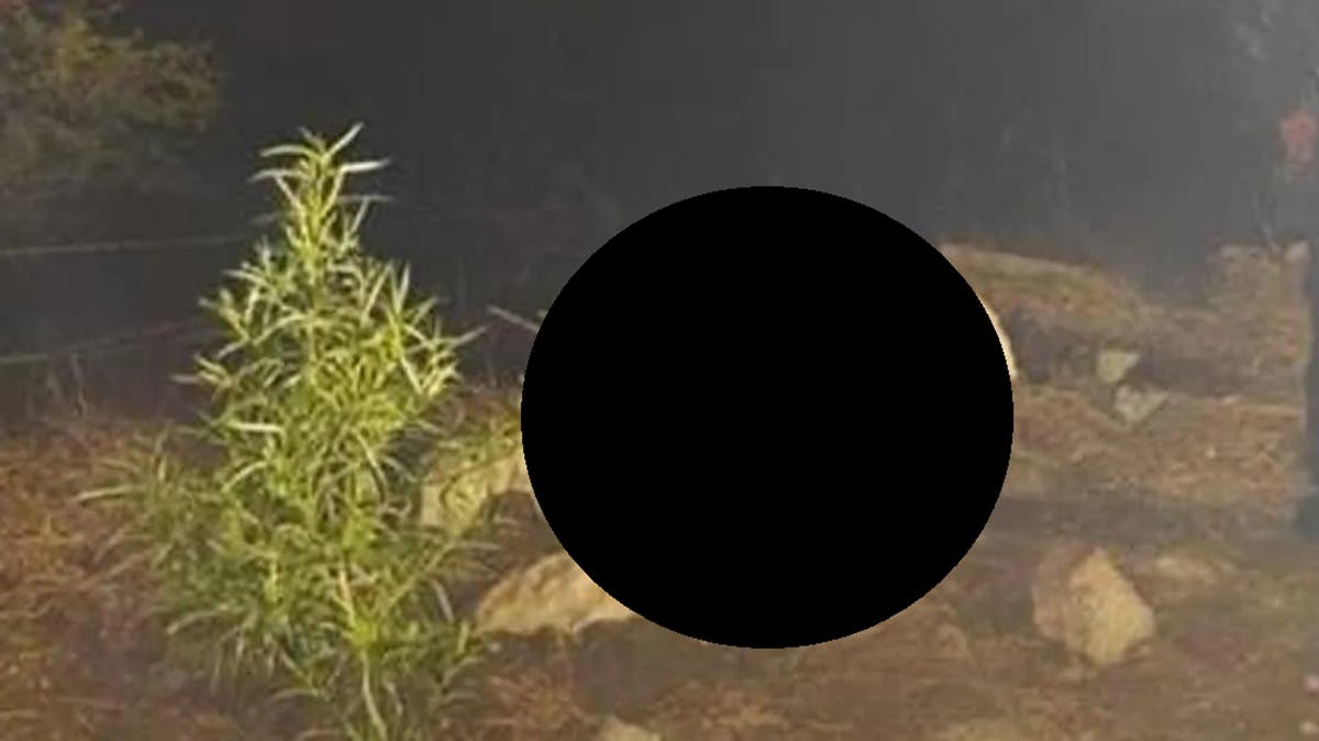 Feminicidio en Puebla: mujer joven fue asesinada a pedradas y sigue sin ser identificada