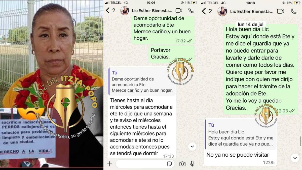 Activistas exigen justicia: animales sacrificados bajo órdenes de Bienestar Animal Cuautlancingo