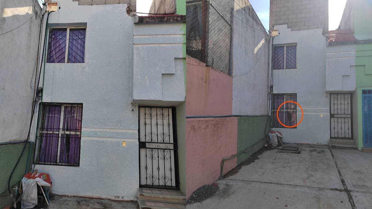 Vecinos denuncian abandono animal en Puebla: perrita sin comida ni agua en casa vacía