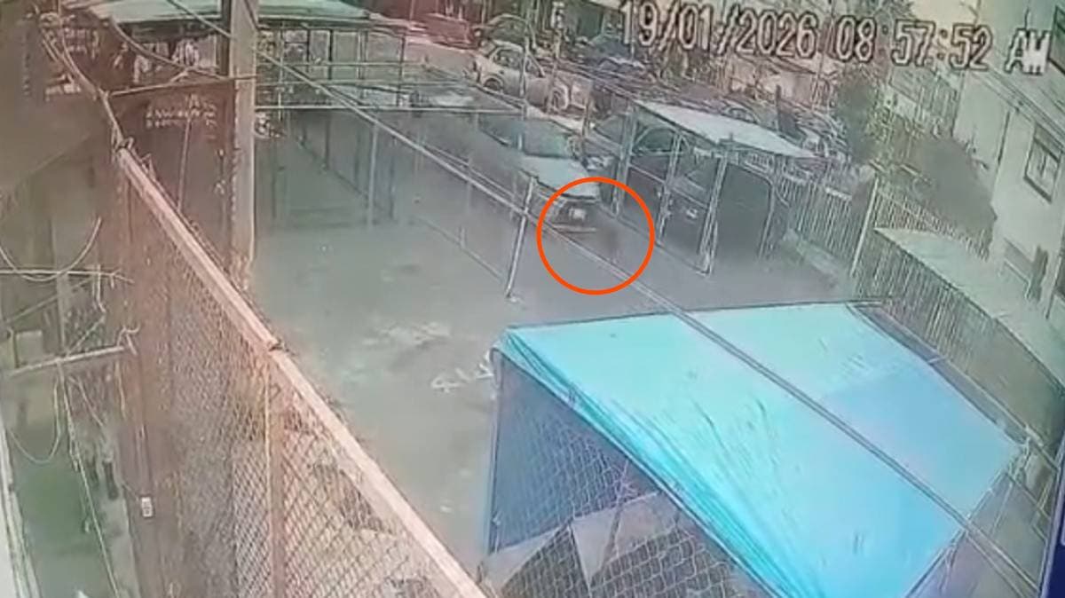 Maestra de kínder en Puebla señalada por atropellar y matar a perrito