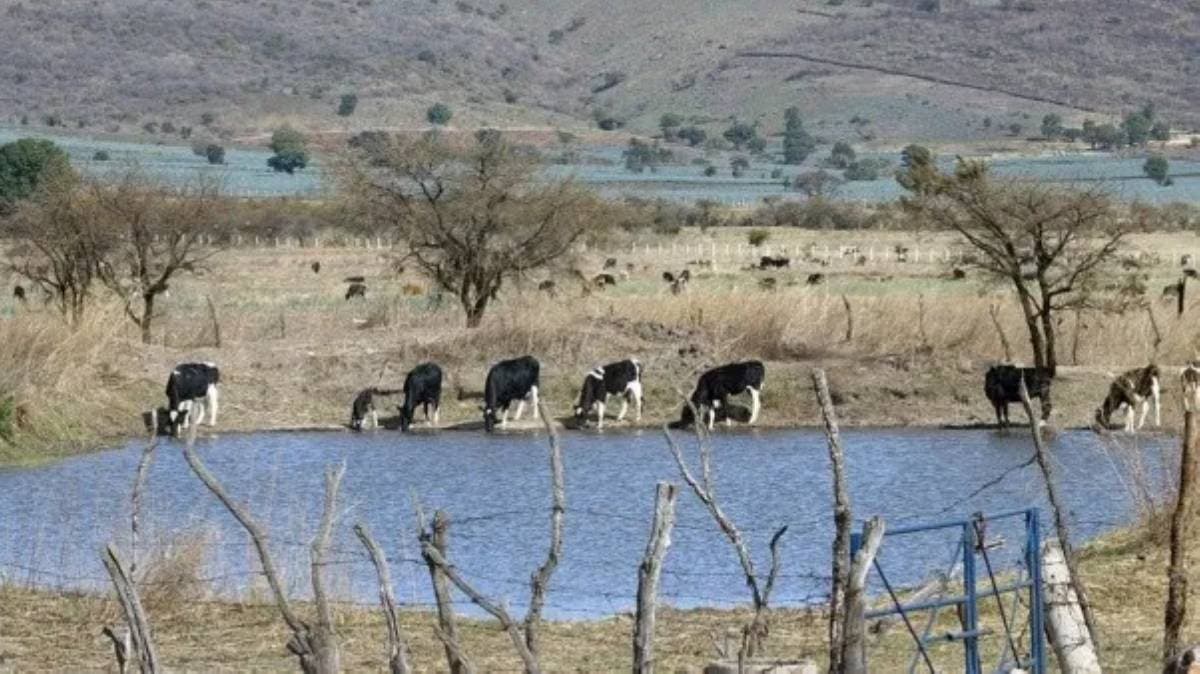 Tres cuerpos hallados en Tepemaxalco; posible vínculo con robo de ganado