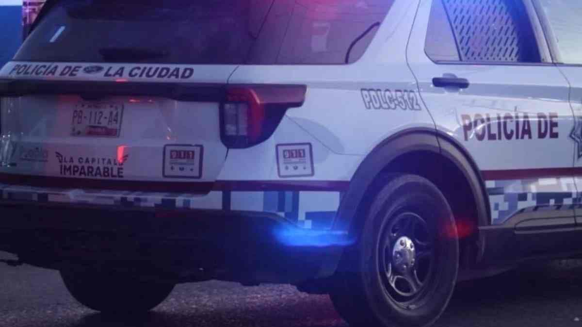 Violencia en Puebla: encapuchados roban 50 mil pesos y seis perros de raza en colonia Del Valle