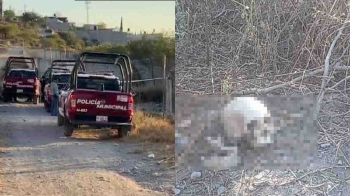 Hallazgo de restos humanos en Tehuacán activa protocolos forenses y abre investigación