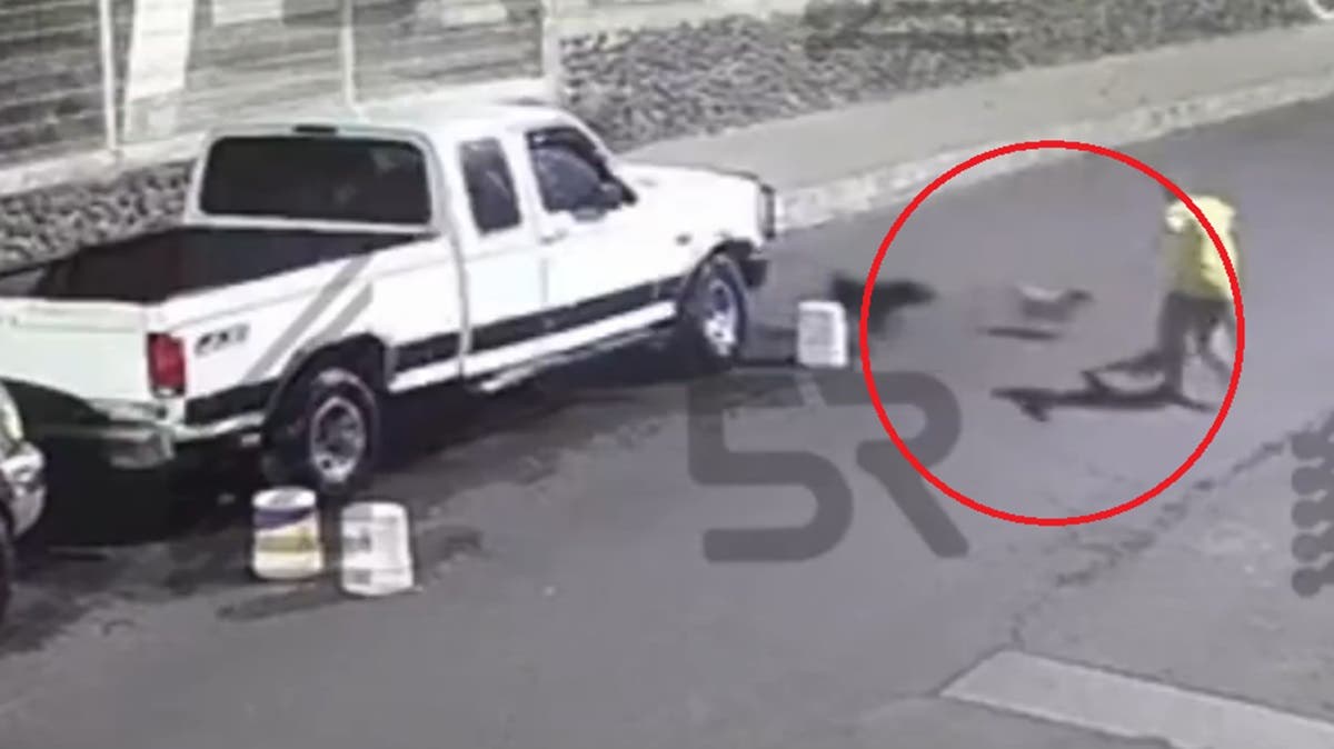 Ataque de pitbulls en Puebla: hombre resulta gravemente herido mientras lavaba un auto (VIDEO)