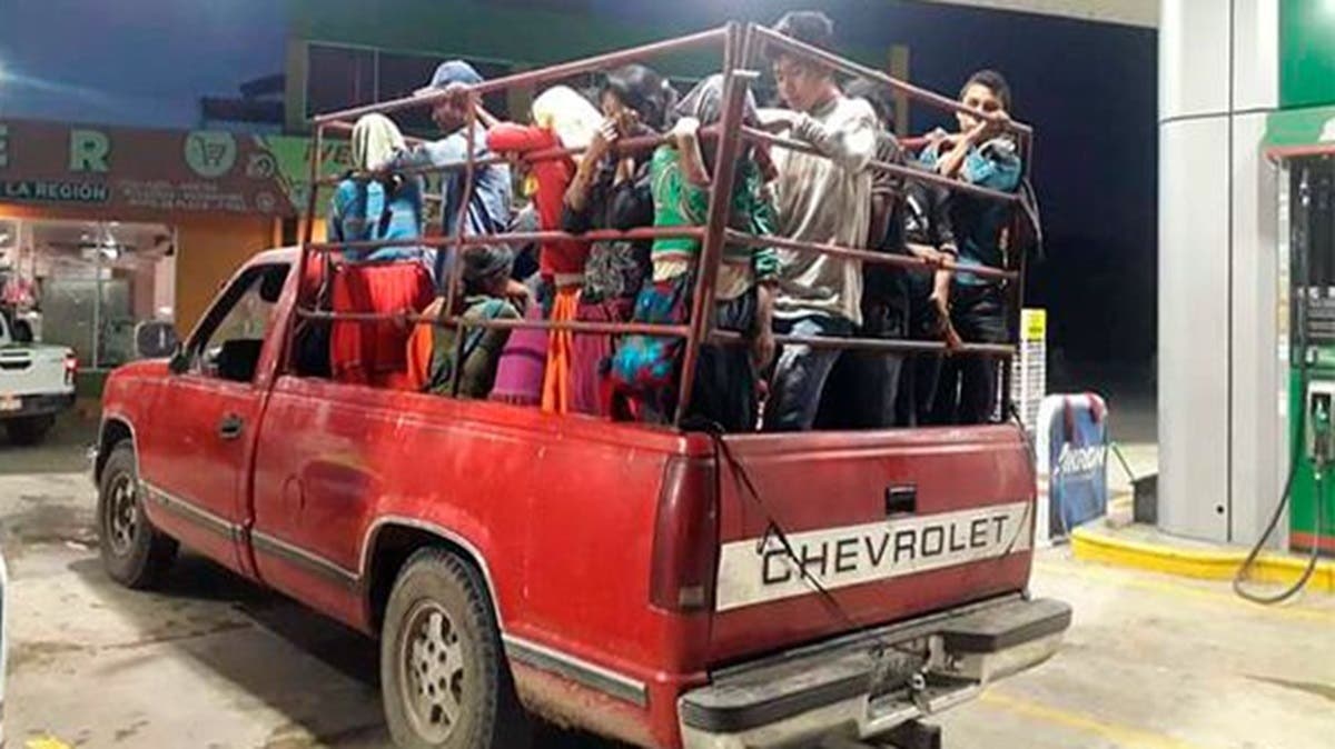 Viajar en la batea de una pickup sí es infracción: lo que dice la ley y cuánto cuesta la multa