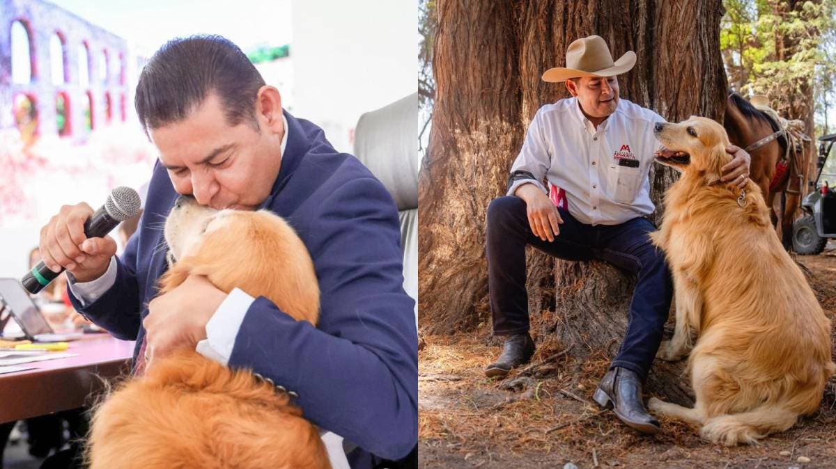 Gobernador de Puebla se prepara para despedir a su perro Tommy: “Está hospitalizado y en sus últimas horas”