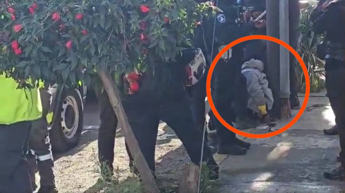 Intento de asalto en Mayorazgo termina con presunto agresor detenido por vecinos; “héroe sin capa” resultó herido