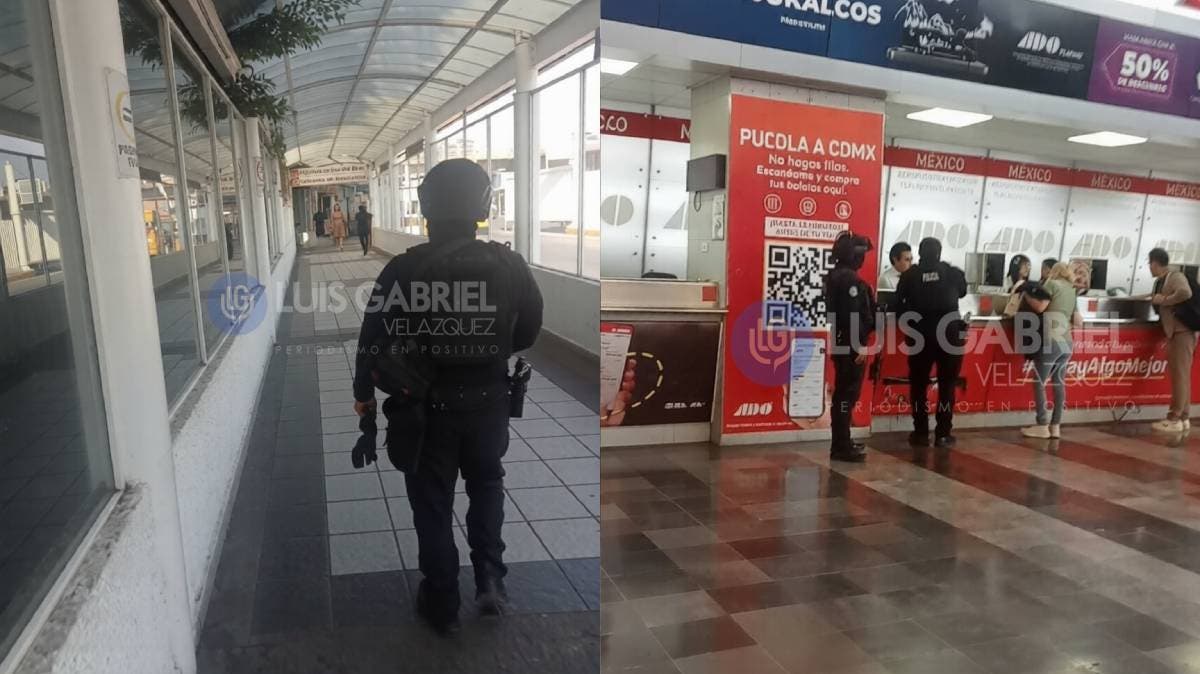 Alerta en Puebla: buscan a adolescente de 15 años que salió para encontrarse con hombre conocido en juego en línea