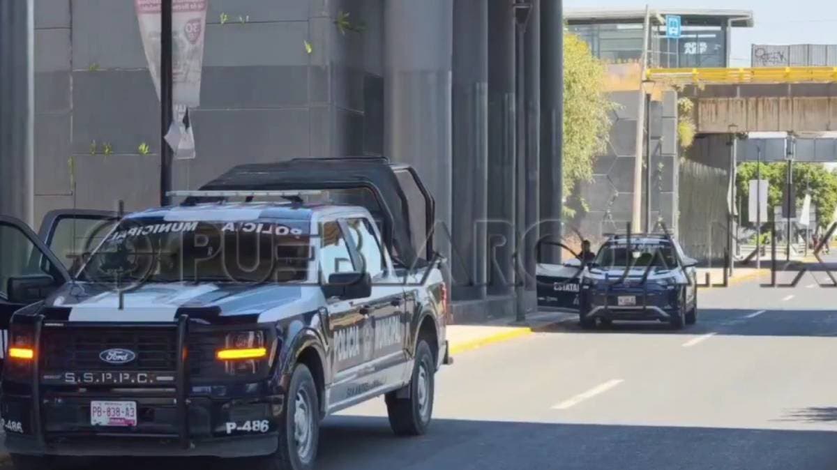 Hallan cuerpo en descomposición en la Recta a Cholula; autoridades acordonan la zona junto al Periférico Ecológico