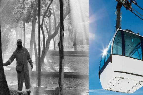 Ecocidio en Puebla: Cablebús pone en riesgo 47 especies de aves en el Parque Juárez