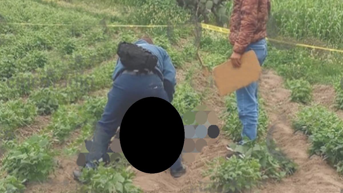 Encuentran cadáver con disparos en la cabeza en campos de cultivo de Puebla