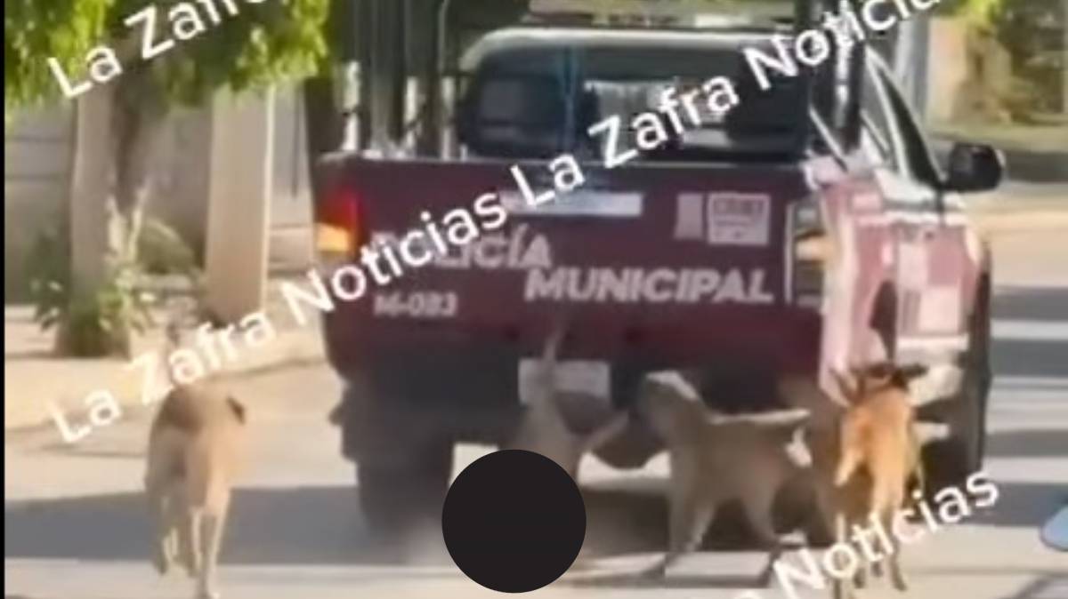 Ciudadanos denuncian a policías de San Felipe Xochiltepec por arrastrar a perro con patrulla