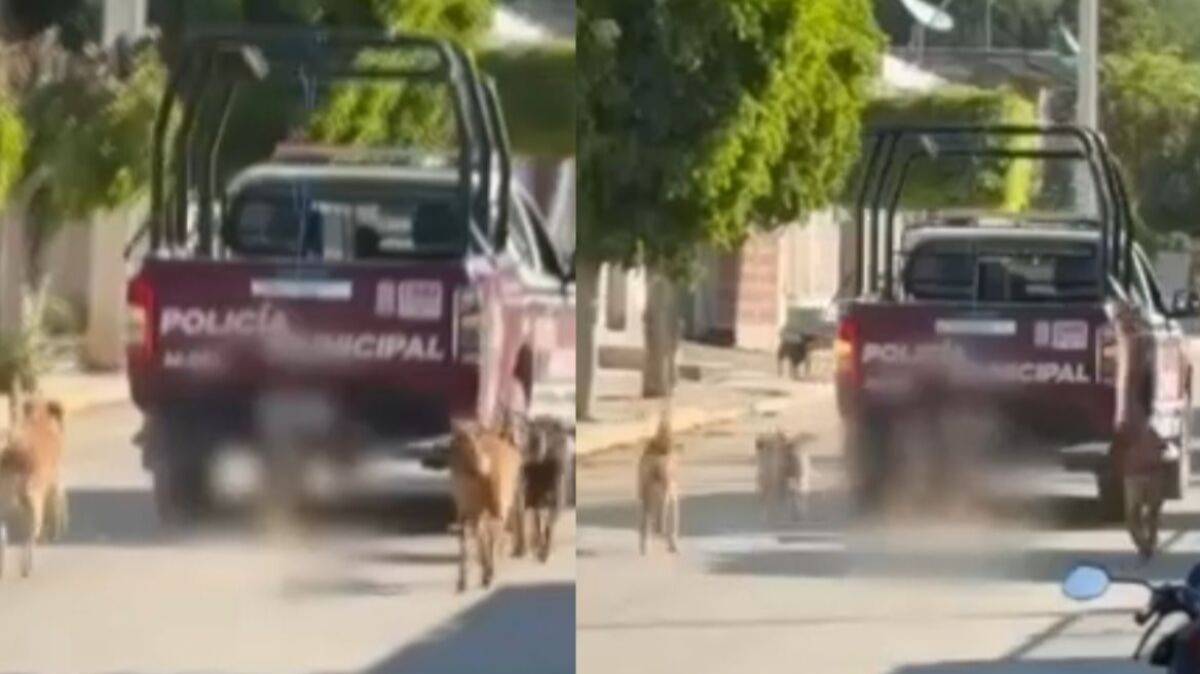 Vecinos denuncian incongruencias: Ayuntamiento de Xochiltepec justifica arrastre de perro