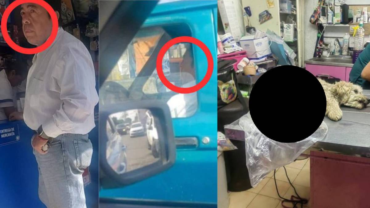 Dueño de Miscelánea Géminis atropelló a perrito en Puebla y huyó; vecinos evidencian historial de violencia