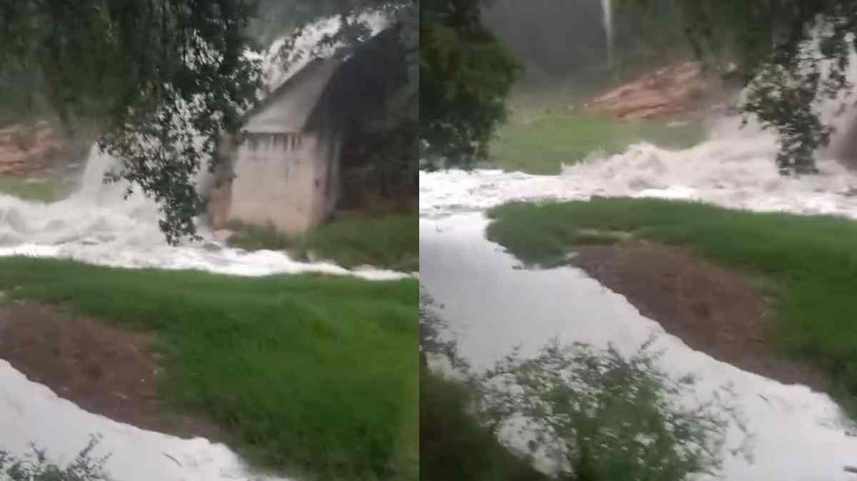 Alerta ambiental en Bosques de Chapultepec: vecinos denuncian presuntas descargas de aguas negras a un río
