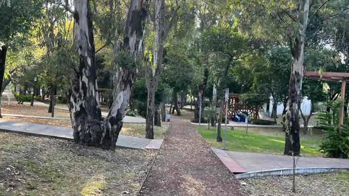 Ayuntamiento regala Parque Juárez para Cablebús: expansión del transporte llega hasta la BUAP