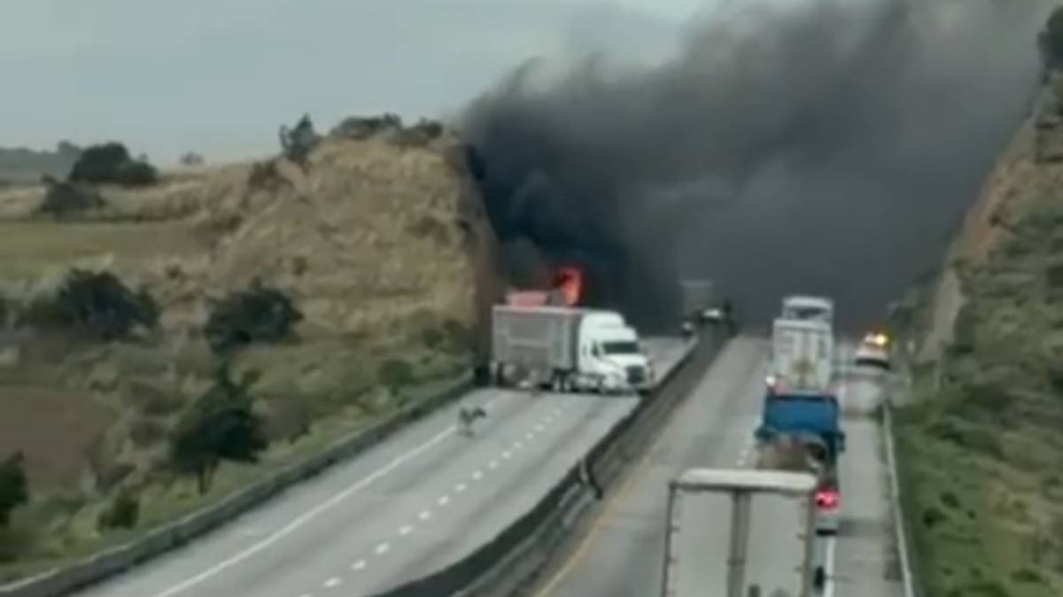 Incendio consume tráiler con ganado y paraliza autopista Arco Norte hoy