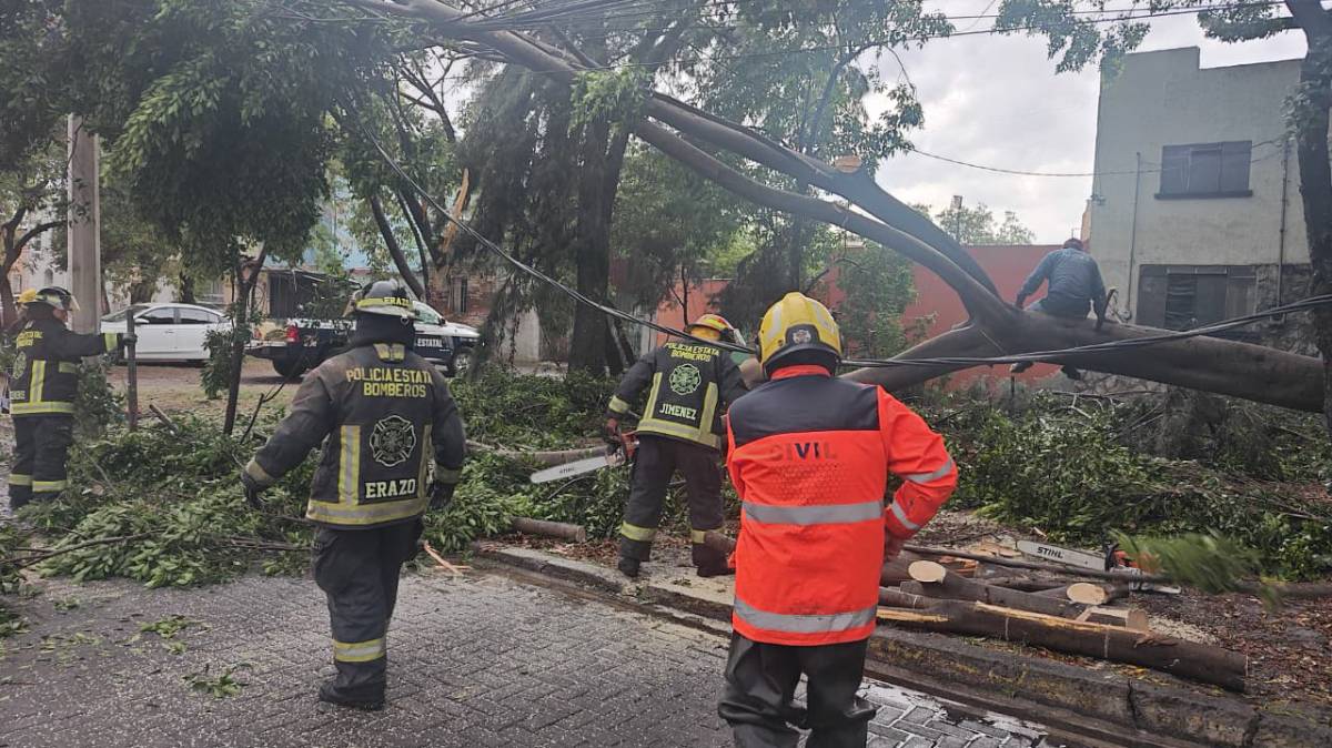 Gobierno de Puebla despliega operativo tras lluvias y vientos; reportan árboles caídos, postes derribados y monitoreo en ríos