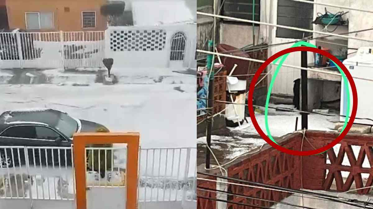 Denuncian presunto caso de maltrato animal en Maravillas; sujeto dejó a su perro expuesto bajo intensa granizada